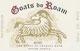 Goats do Roam - Rose Western Cape 2024
